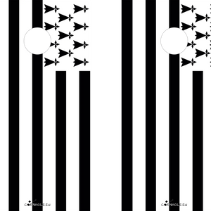 décor détaillé cornhole 2 planches drapeau de votre choix !, vue de face