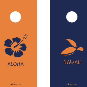 décor détaillé cornhole 2 planches hawaii et haloha, vue de face